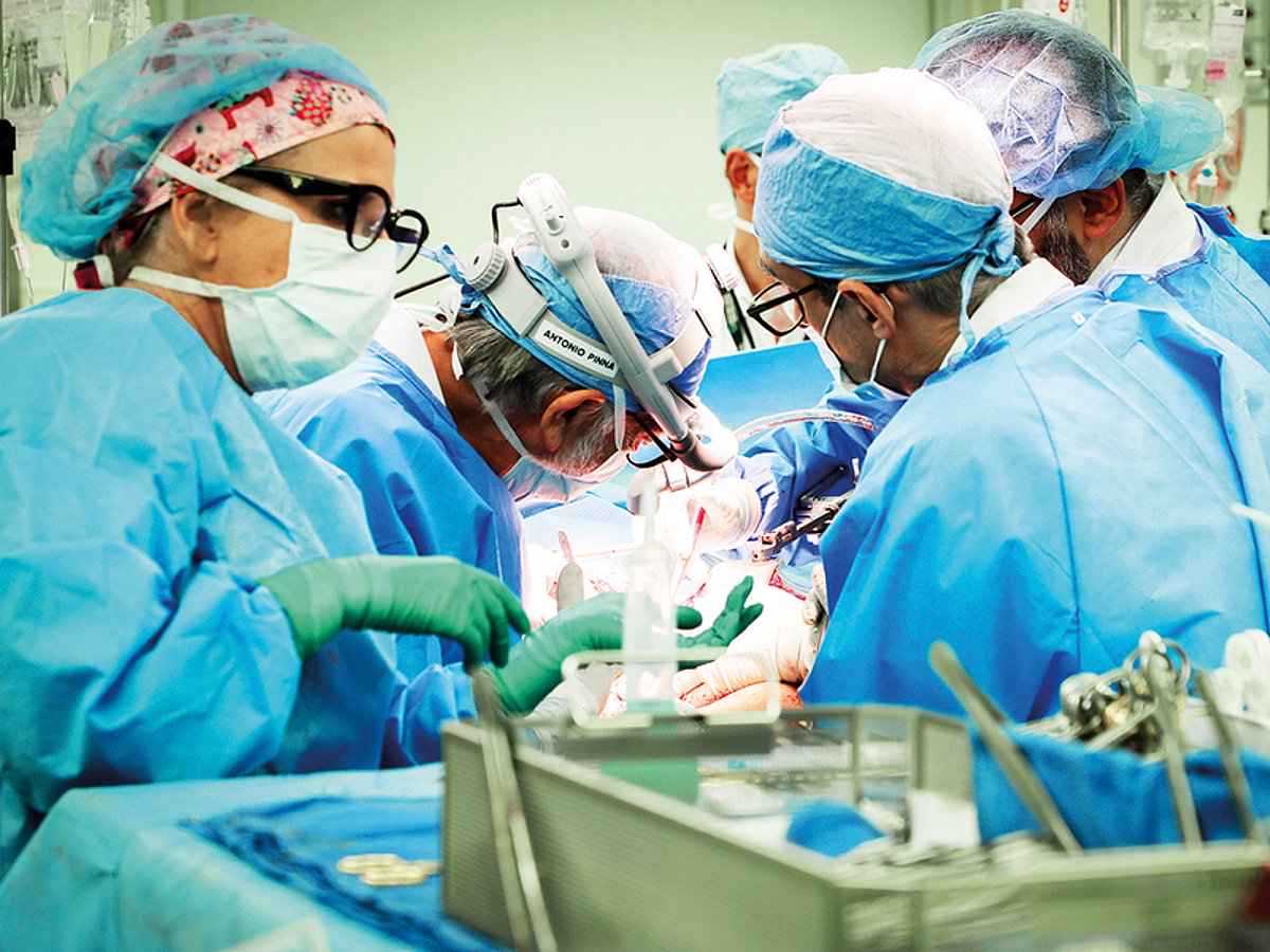 الإمارات العربية المتحدة: السماح بزراعة الأعضاء الحيوانية
