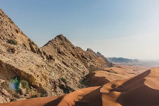 ارتفاع عدد نزلاء المنتجعات الطبيعية في الشارقة بنسبة 5% خلال أغسطس